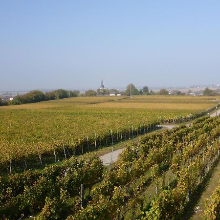 Ferienwohnung Weyl Eschbach  المظهر الخارجي الصورة